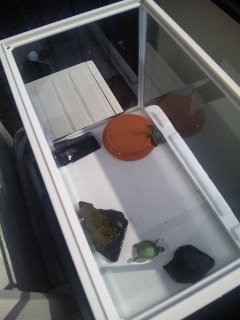 ������blog