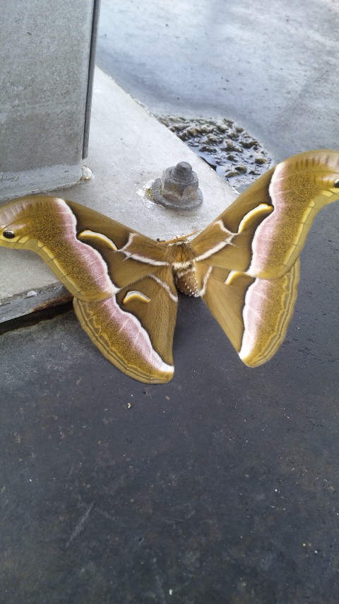 ������blog