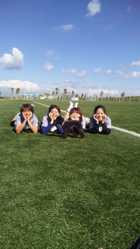 ������blog