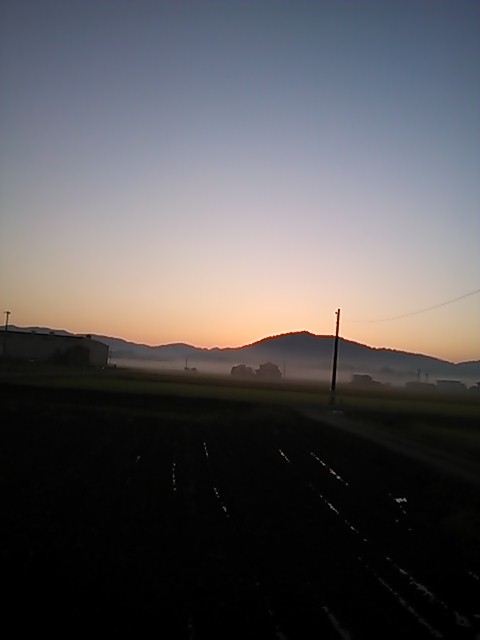 ������blog