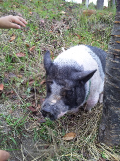 ������blog