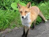 ������blog