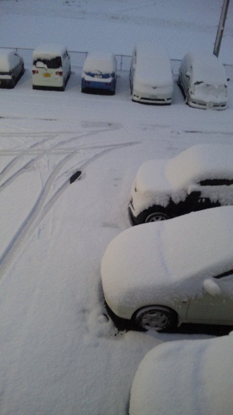 ������blog