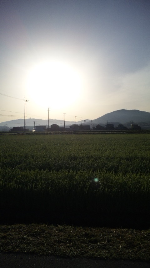 ������blog