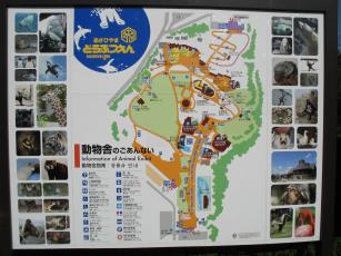 �R�C�̉��b�ƂP�C�̕s�ǂ̎q���