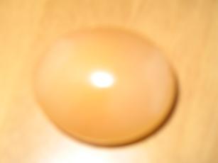 �R�C�̉��b�ƂP�C�̕s�ǂ̎q���