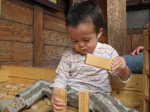 �R�C�̉��b�ƂP�C�̕s�ǂ̎q���