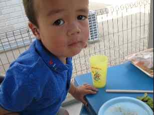 �R�C�̉��b�ƂP�C�̕s�ǂ̎q���