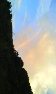 ���o�X�c�@�@�ލs�L