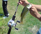 ���o�X�c�@�@�ލs�L