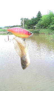 ���o�X�c�@�@�ލs�L