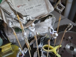 ���Ԏa�S��