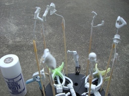 ���Ԏa�S��