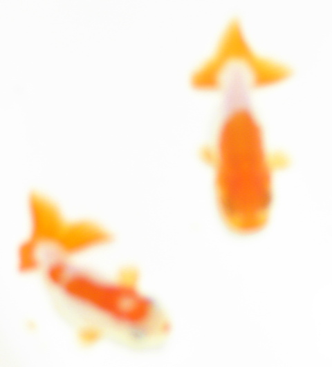 �܂����@��