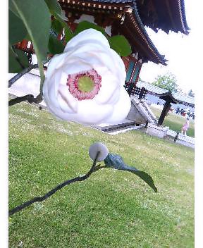 ����ڂ��