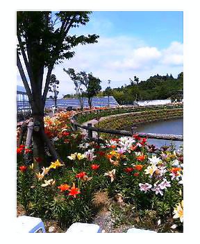 ����ڂ��