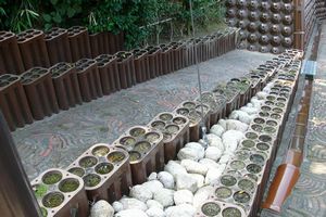 ����ڂ��