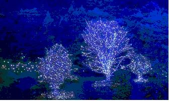 ����ڂ��