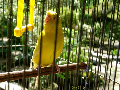 ����ڂ��