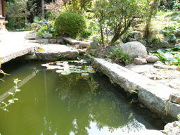 ����ڂ��