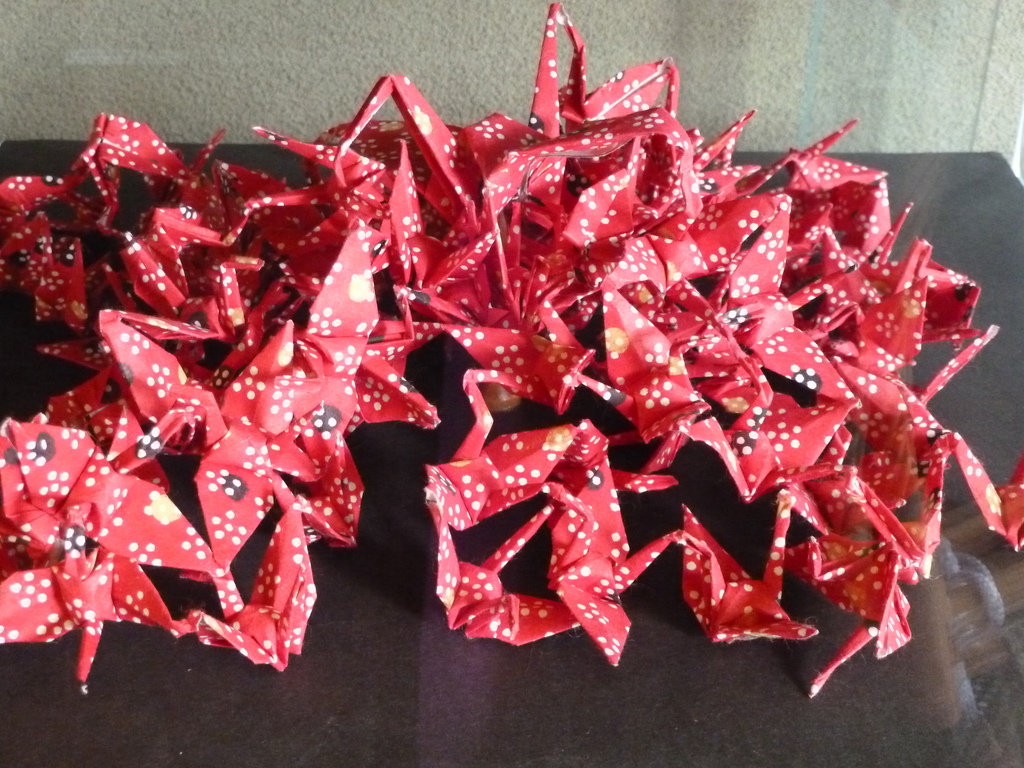 ����ڂ��