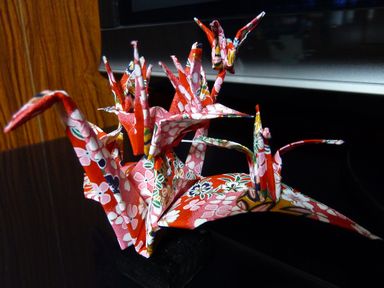 ����ڂ��