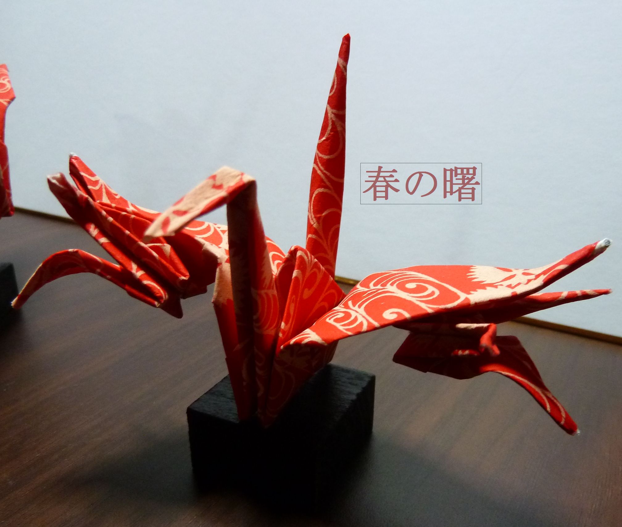 ����ڂ��