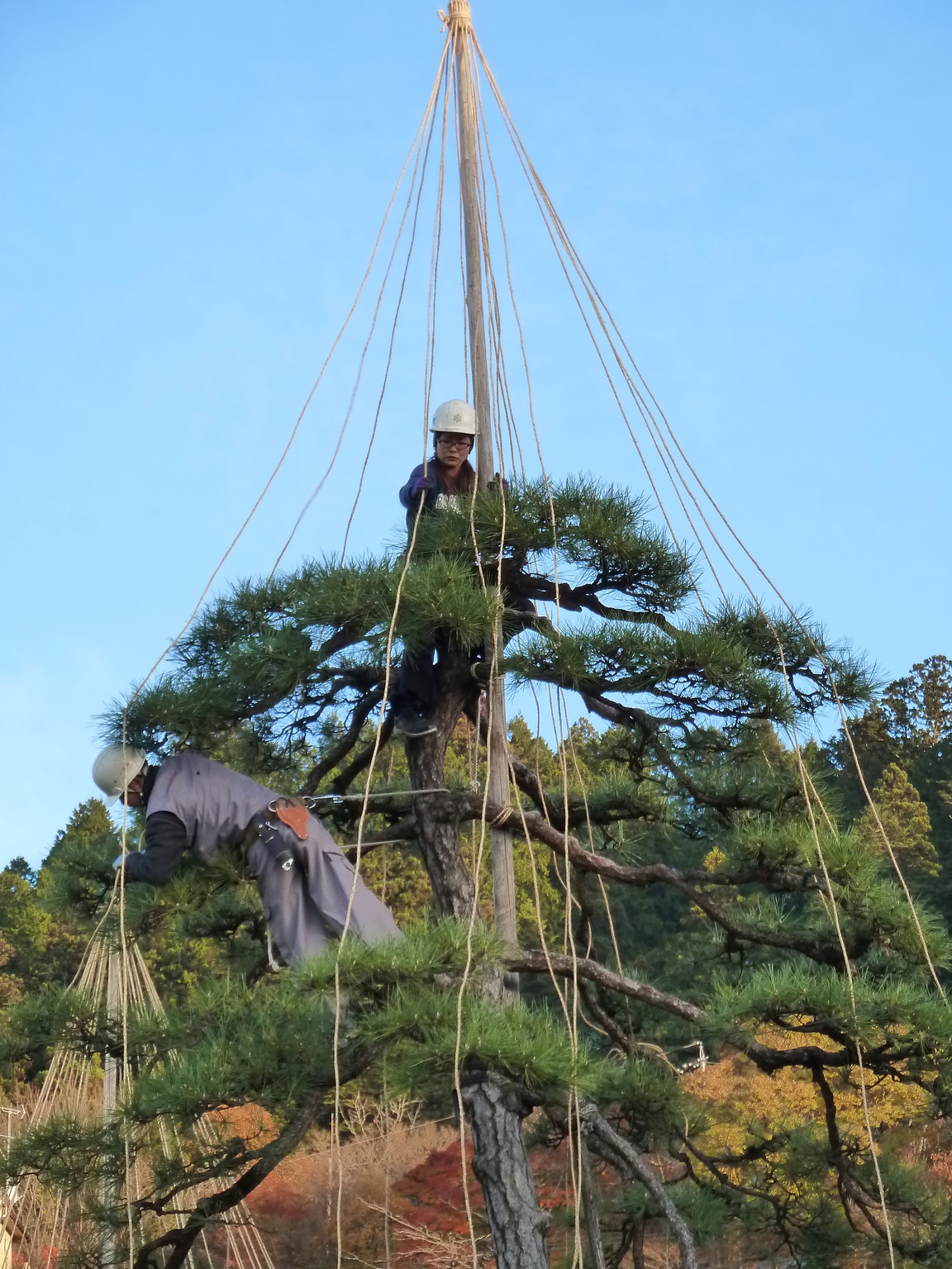 ����ڂ��