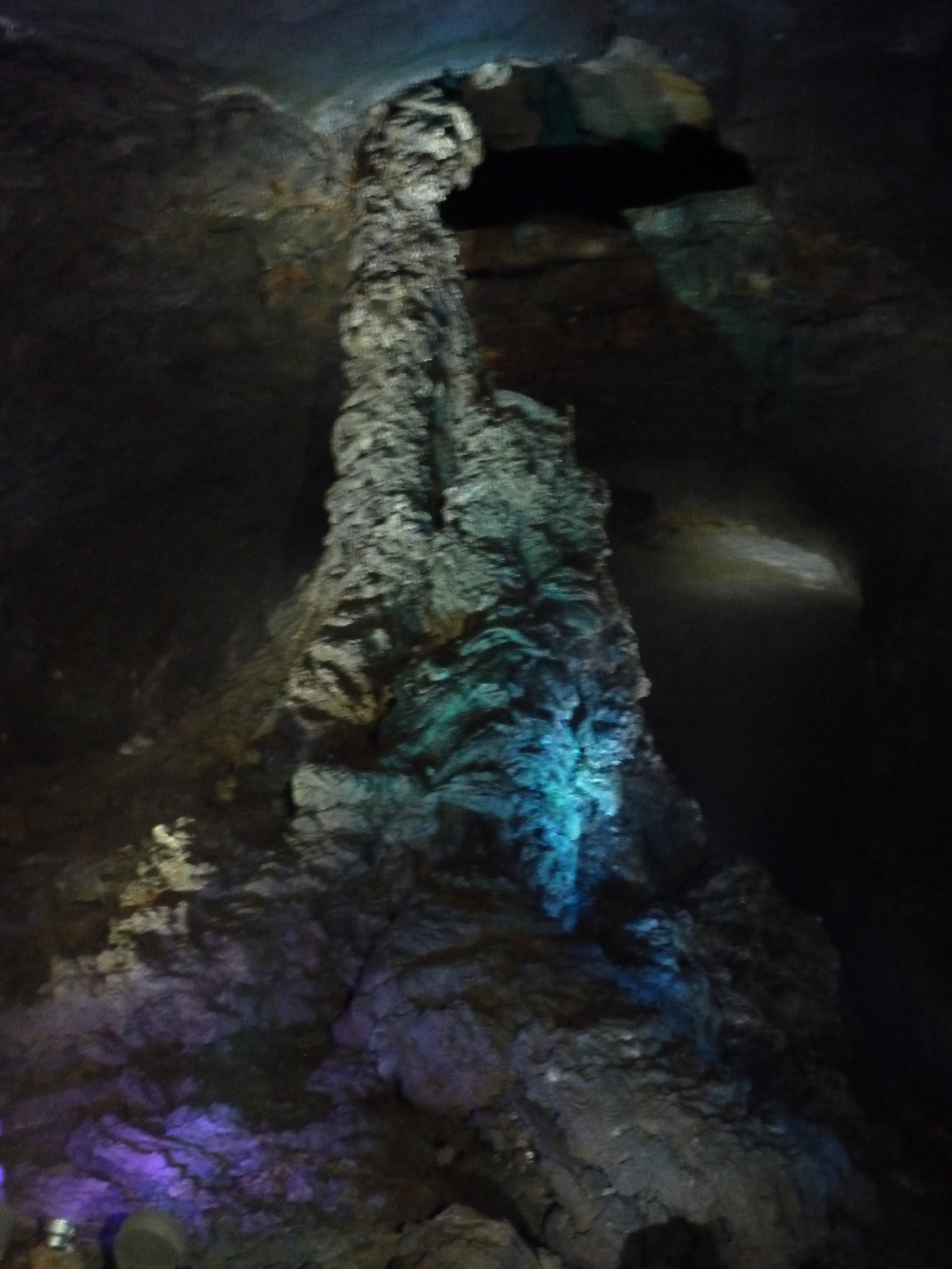 ����ڂ��