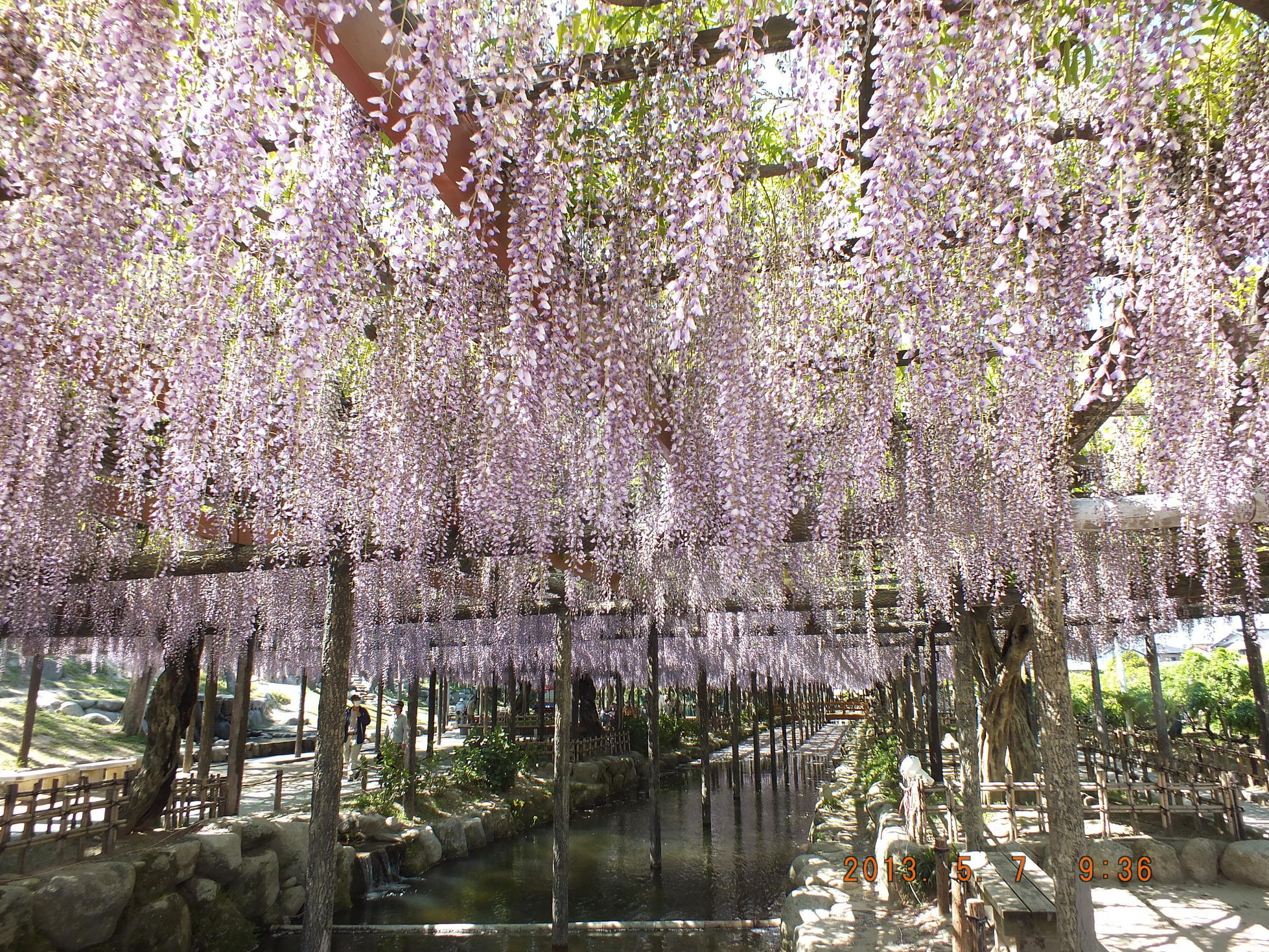 ����ڂ��