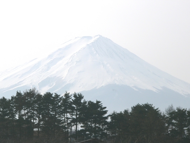 ����ڂ��