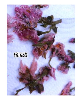 ����ڂ��