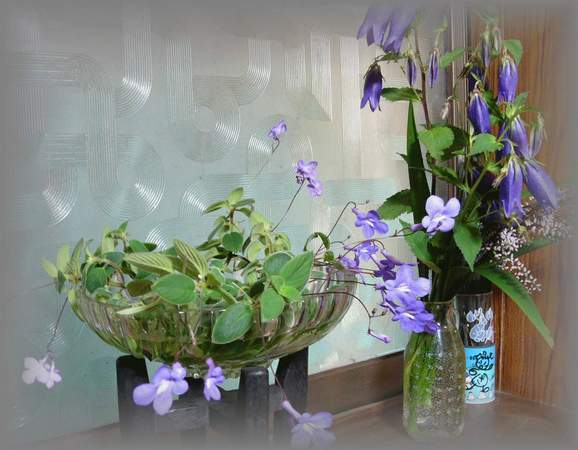 ����ڂ��