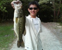 �O�dBass