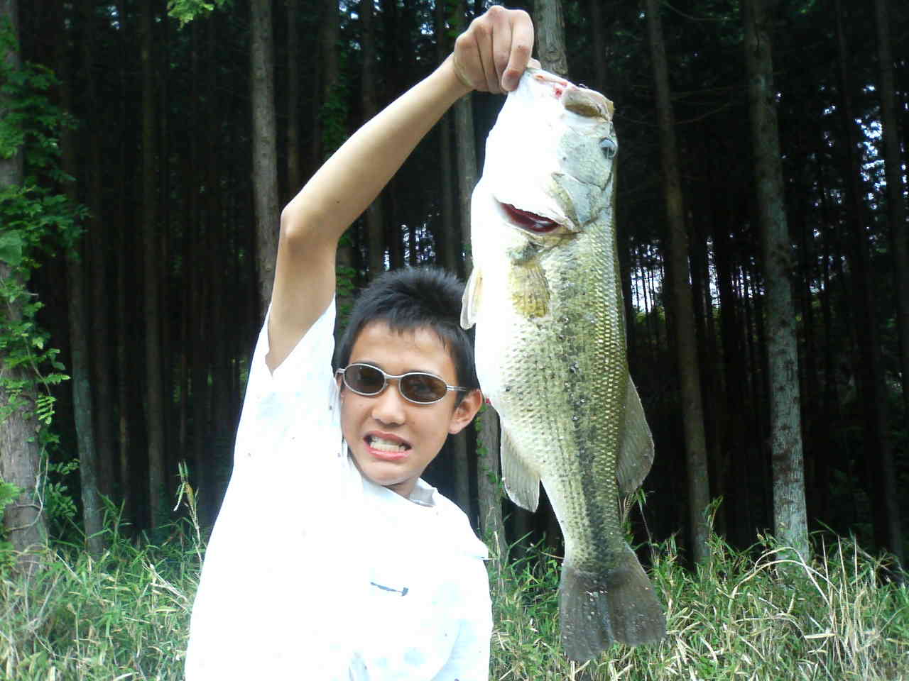 �O�dBass