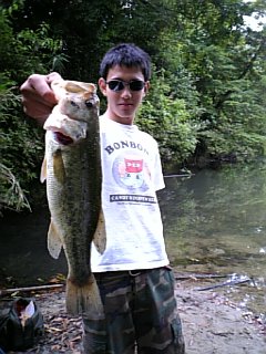 �O�dBass