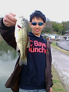 �O�dBass
