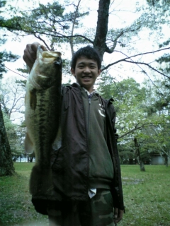 �O�dBass