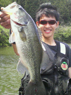 �O�dBass