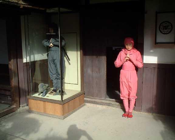 ���������̕���