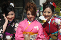 �g���������@�v�������������@�O�c�V