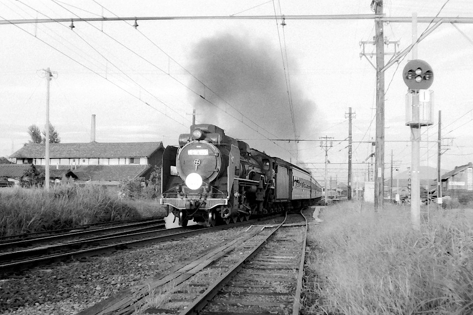 D51940HMՋqiDԂj