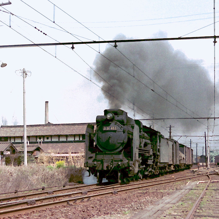 ���ED51403�ݕ���ԁi�D�Ԃ����������j