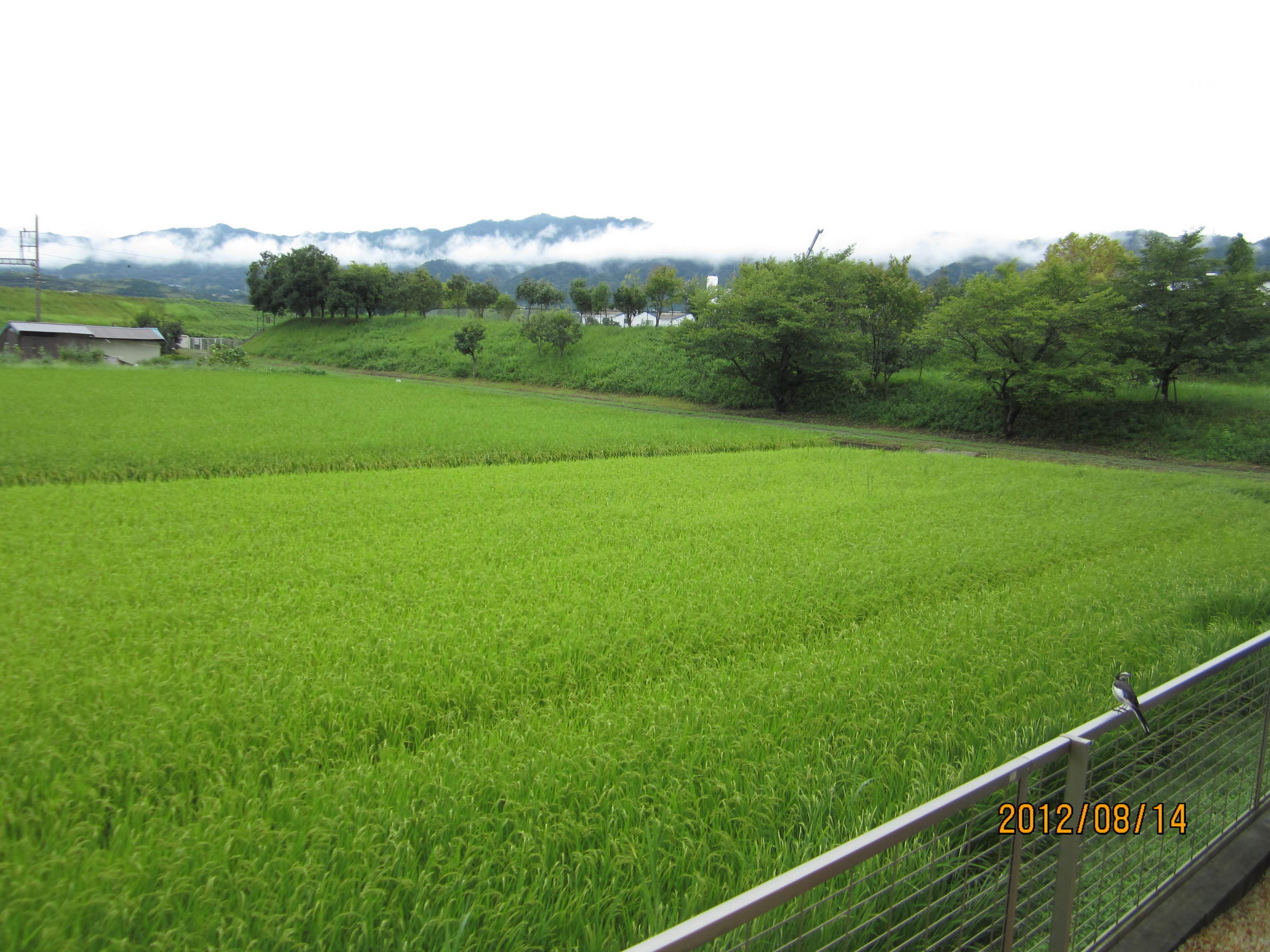 �e�t�l�h�d�}�C�y�[�W