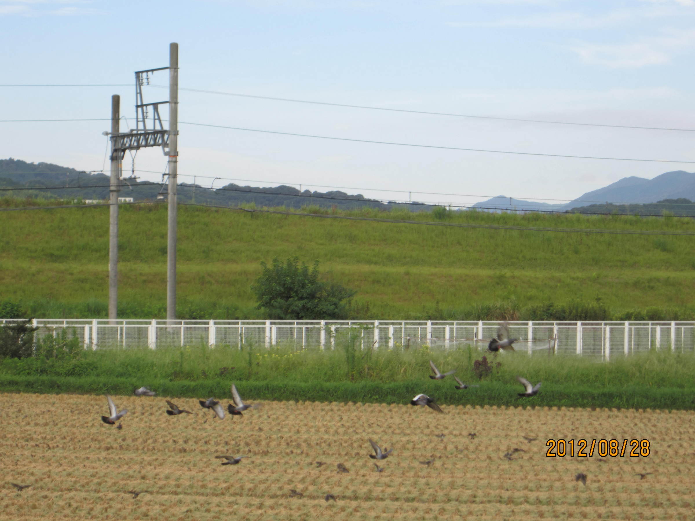 �e�t�l�h�d�}�C�y�[�W