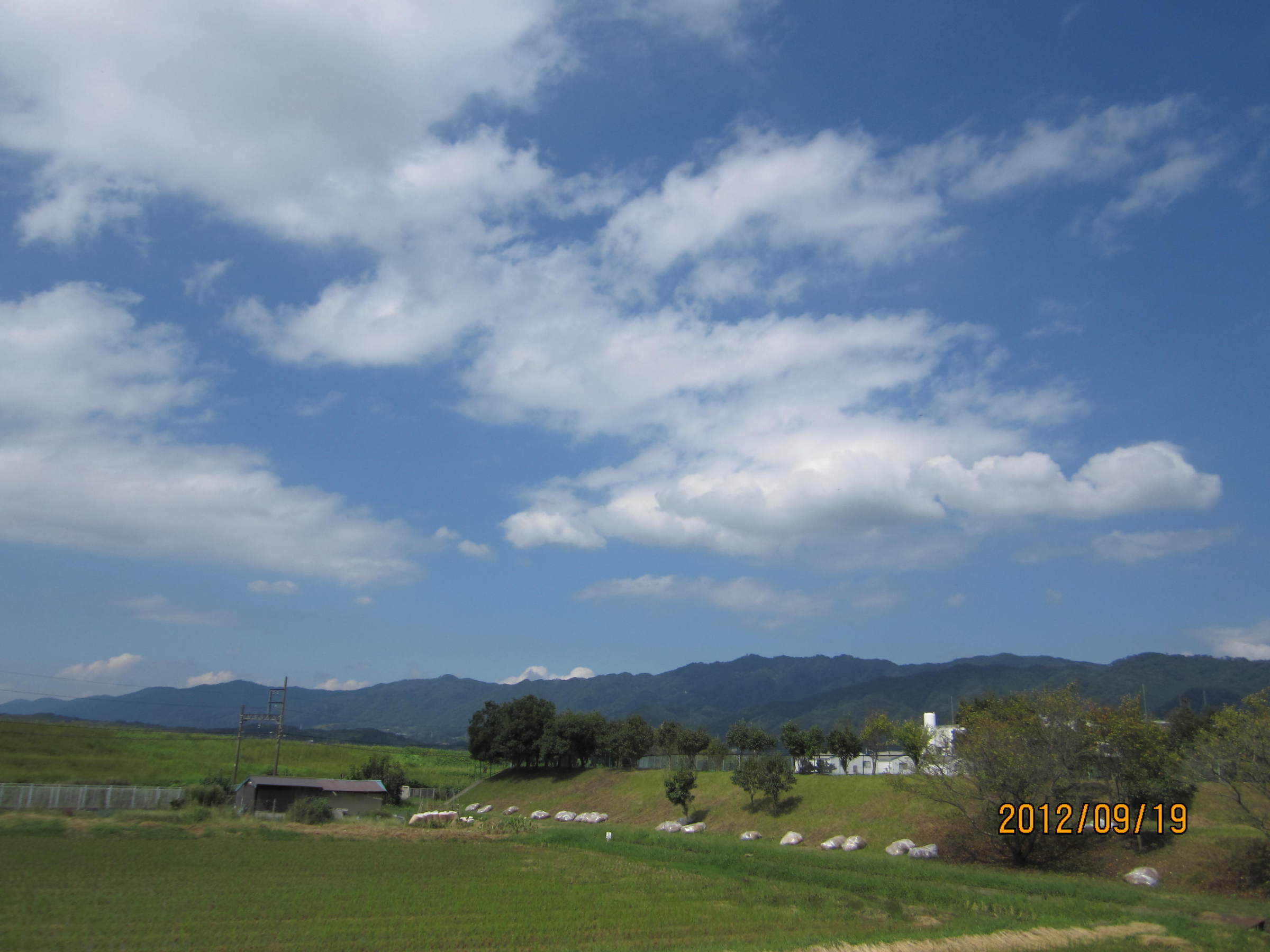 �e�t�l�h�d�}�C�y�[�W