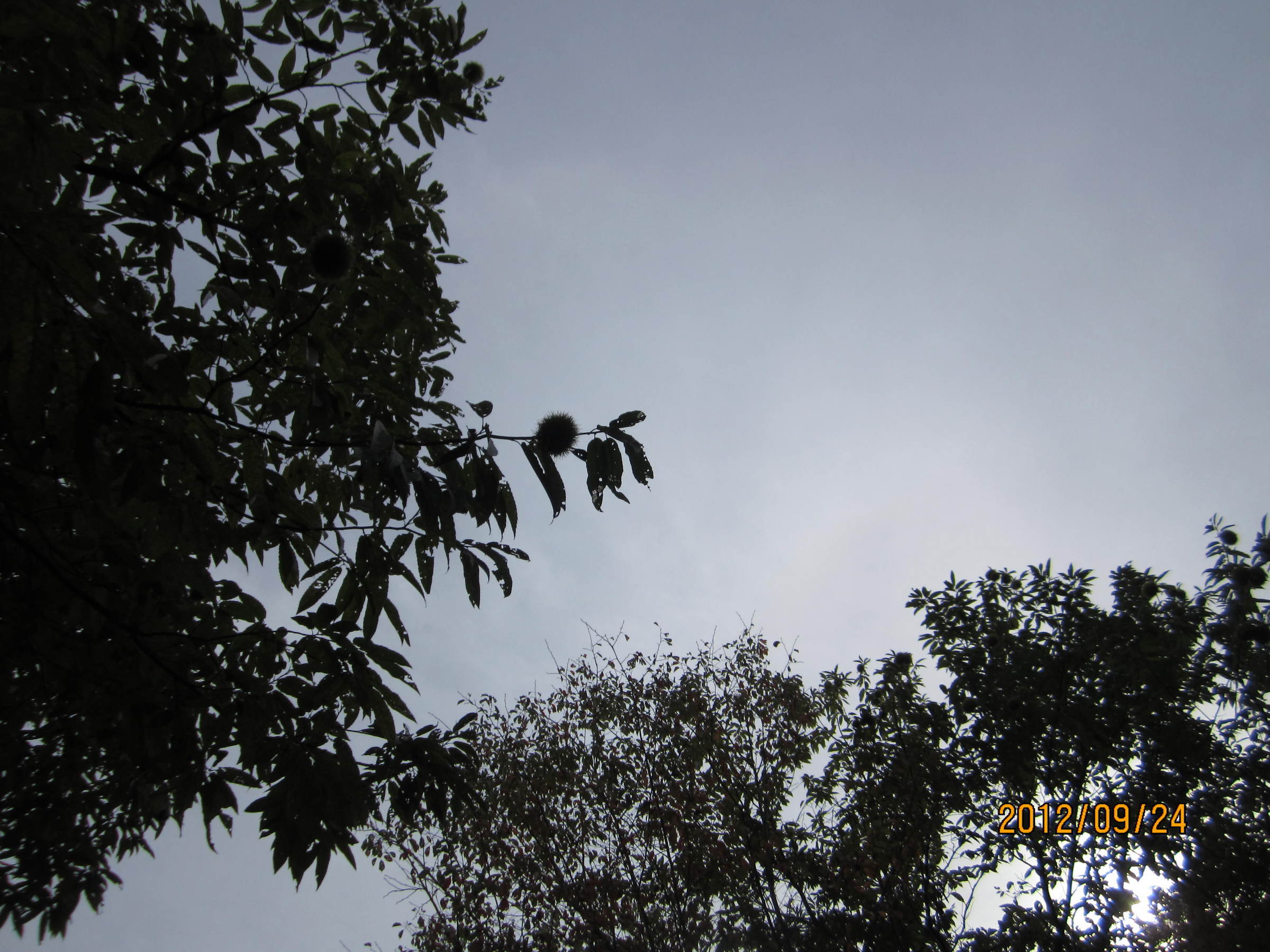 �e�t�l�h�d�}�C�y�[�W