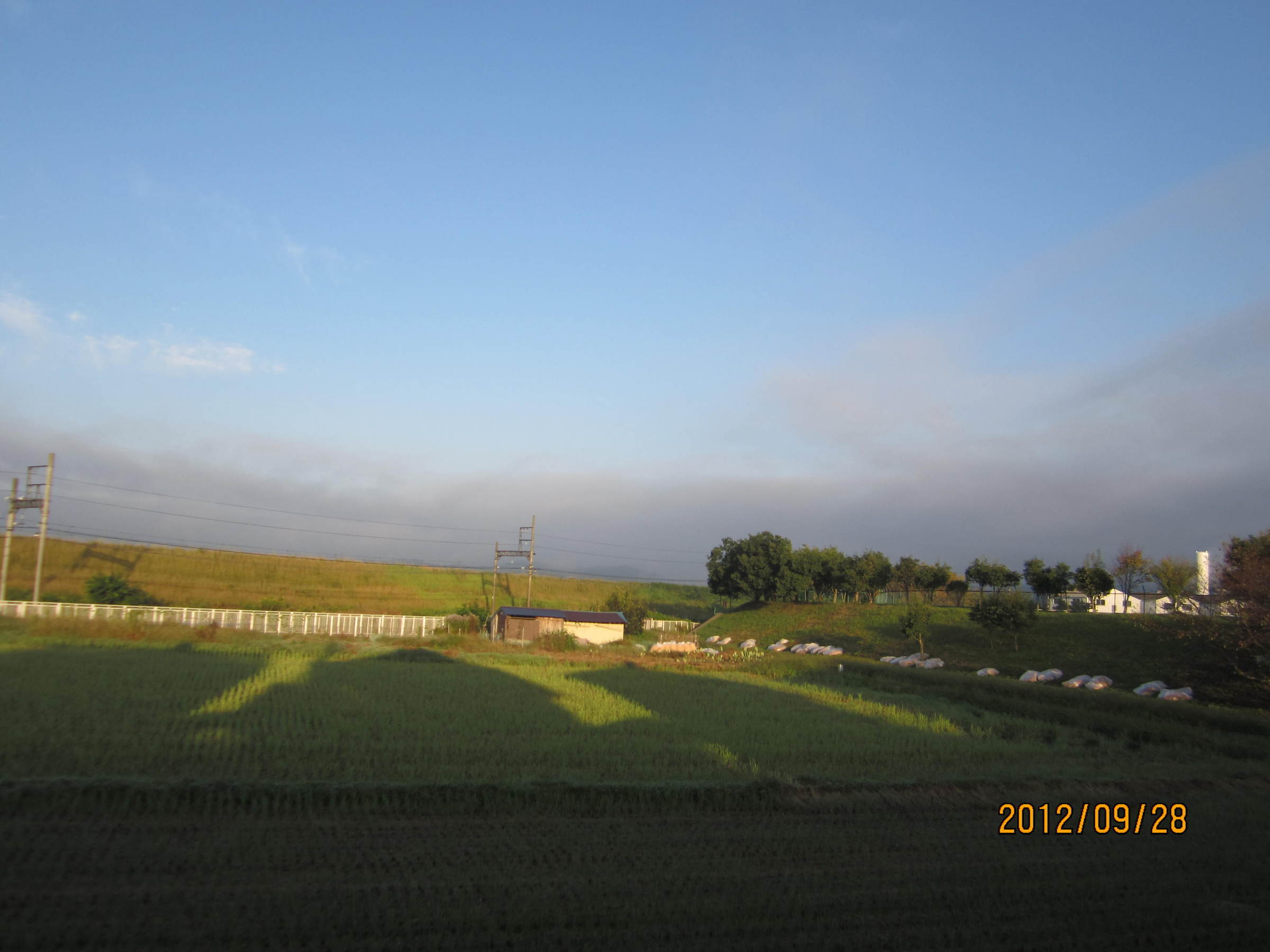 �e�t�l�h�d�}�C�y�[�W