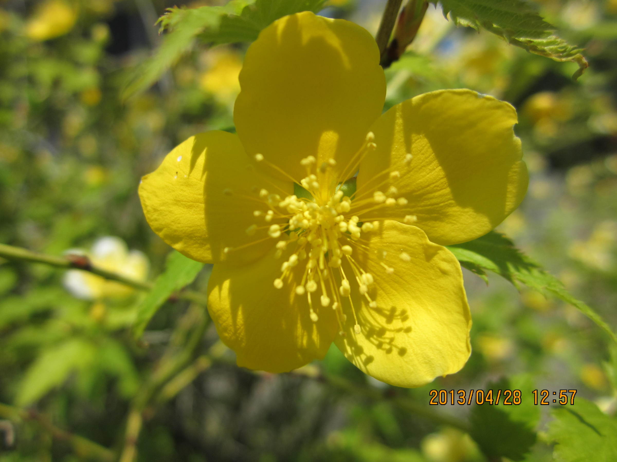 �e�t�l�h�d�}�C�y�[�W