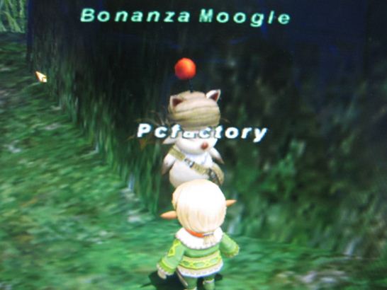 �o�b�t�@�N�g���[�p�\�R���T�|�[�g�H�[�ւ悤����